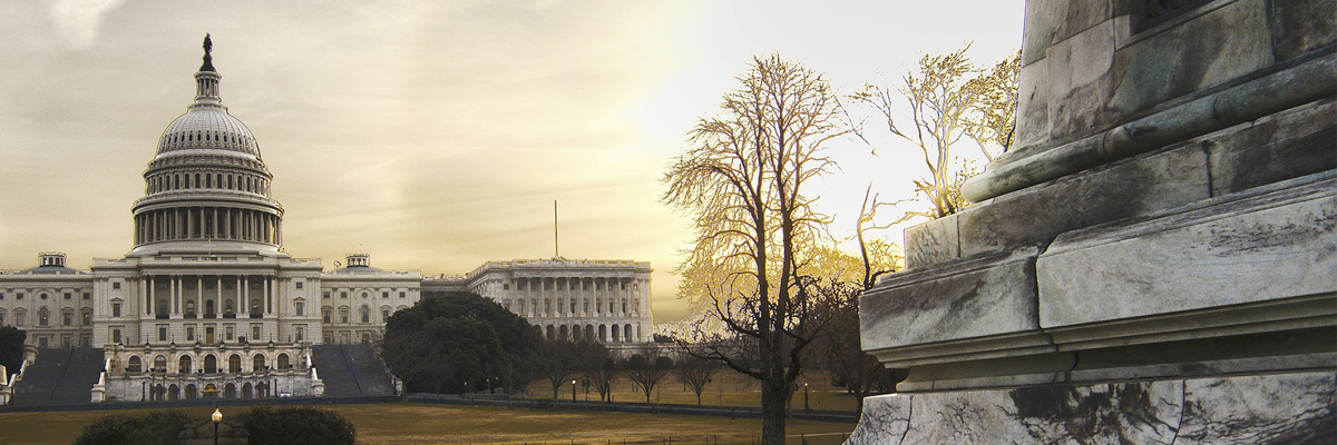 Impact of the US Midterm Elections on Business and Social Justice hero image