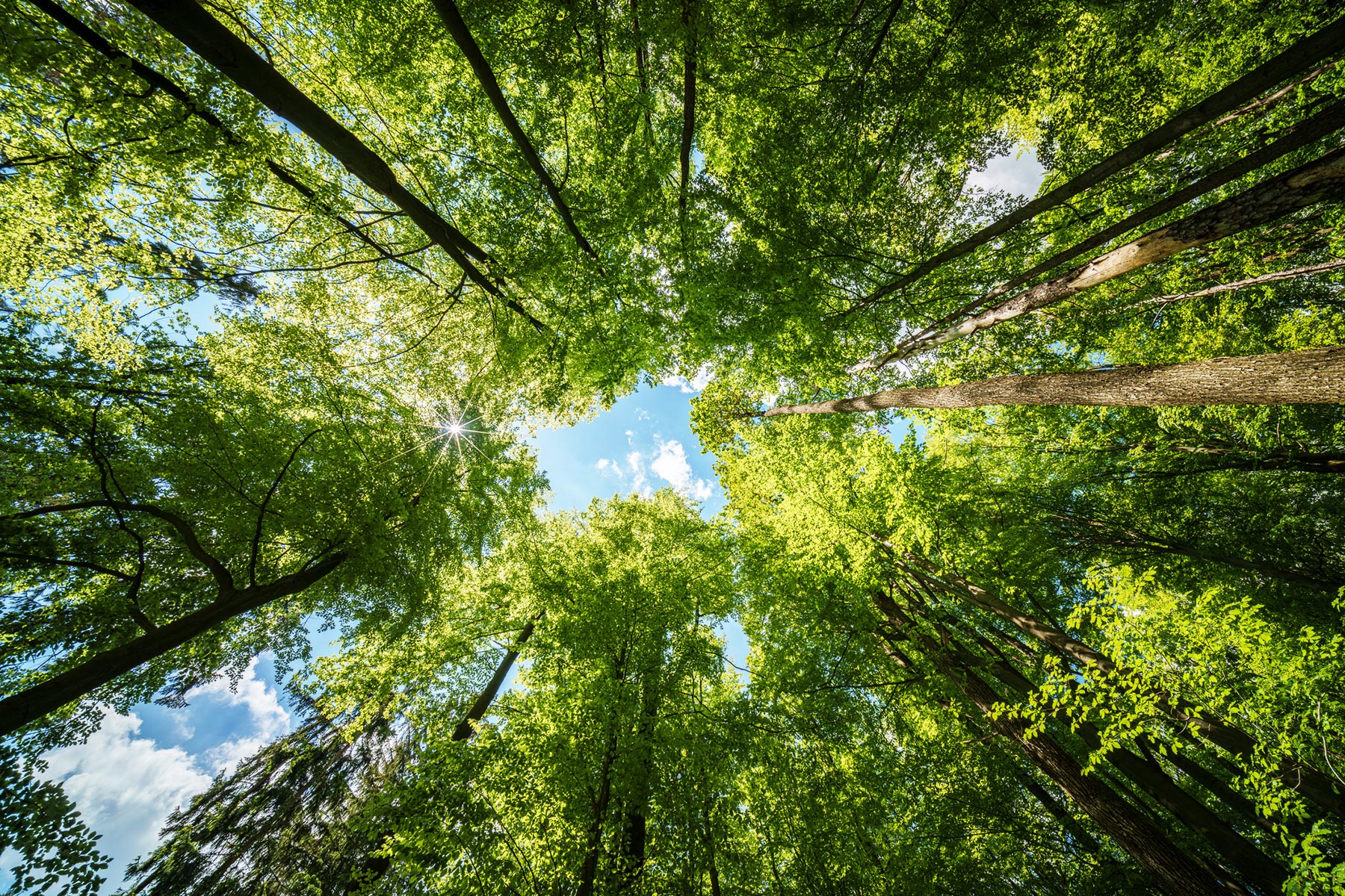 From Climate Science to Corporate Strategy hero image