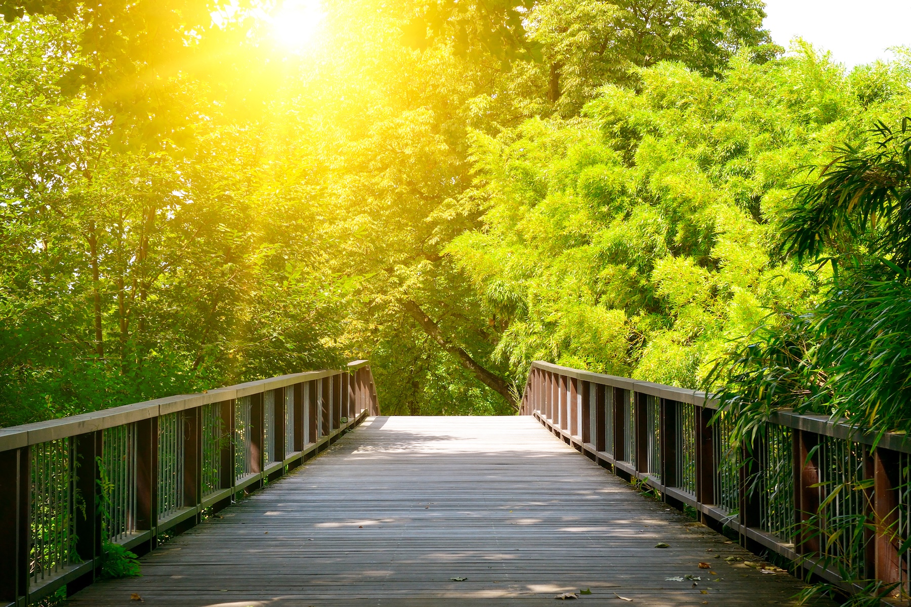 Credible Pathways to Change; Aligning Companies and Countries on Climate Goals  hero image