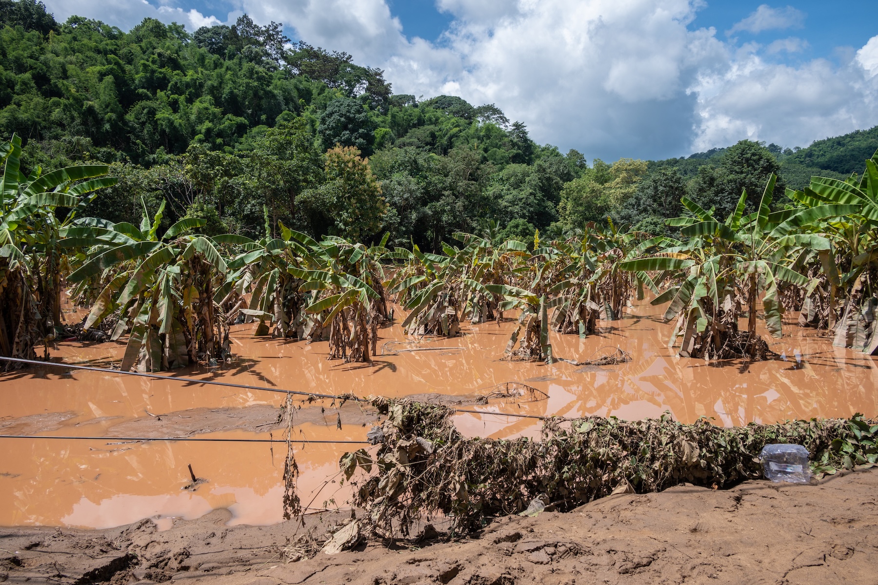 Assessing Climate Risk through Scenario Analysis hero image