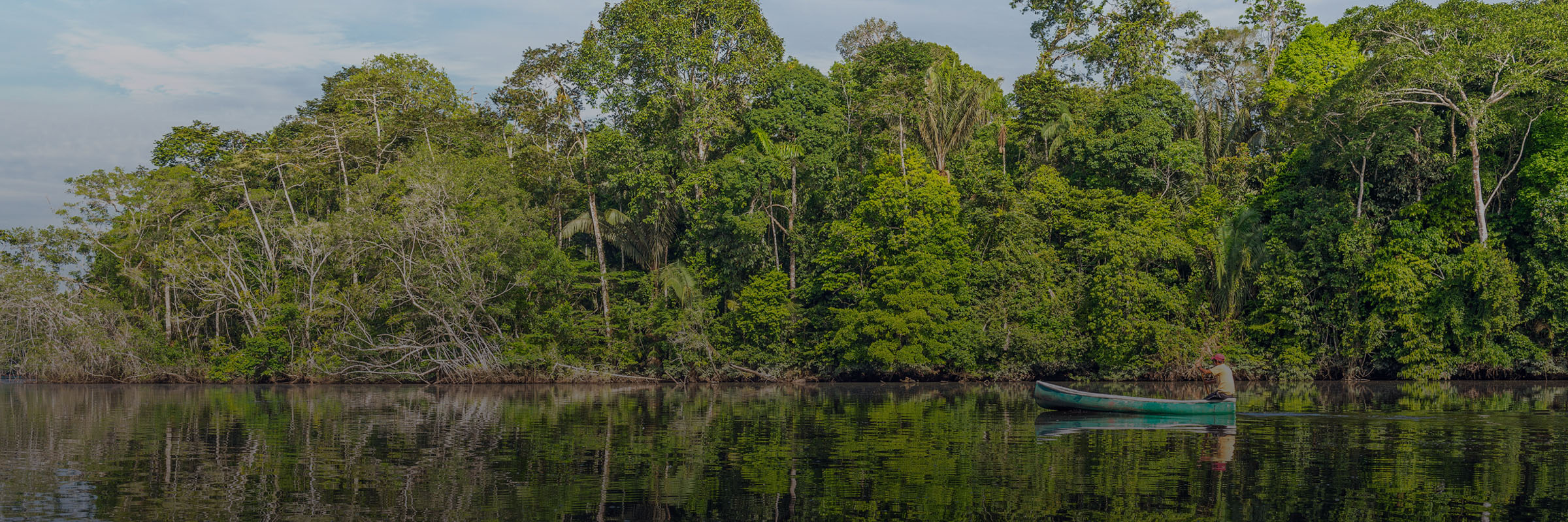 Indigenous Peoples and Climate Change: A Call For Action to Build Resilience Post-COVID hero image