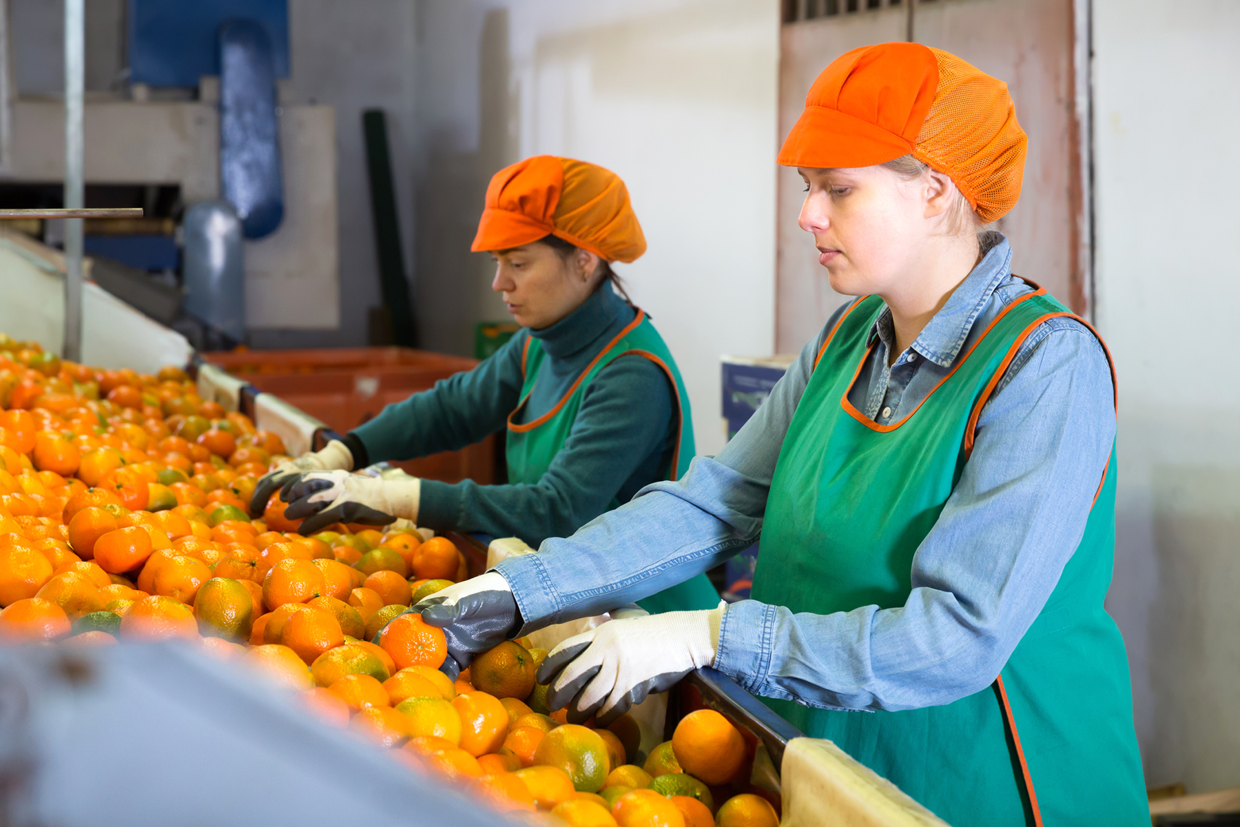 Living Wages: Strengthening the Comparability and Credibility of Estimates  hero image