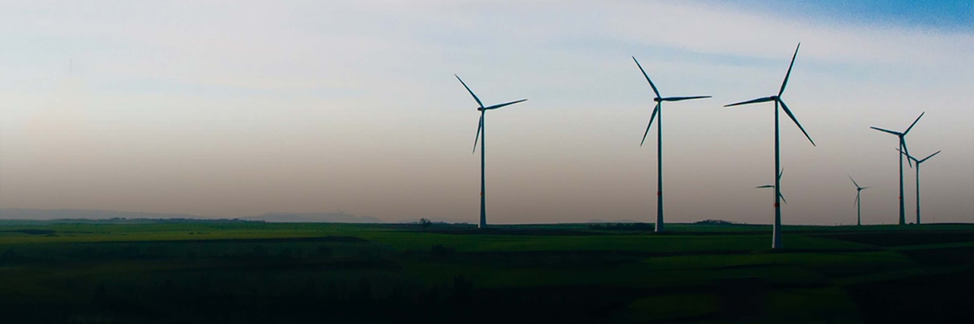 Renewable Energy Buyers Alliance Collaborations BSR