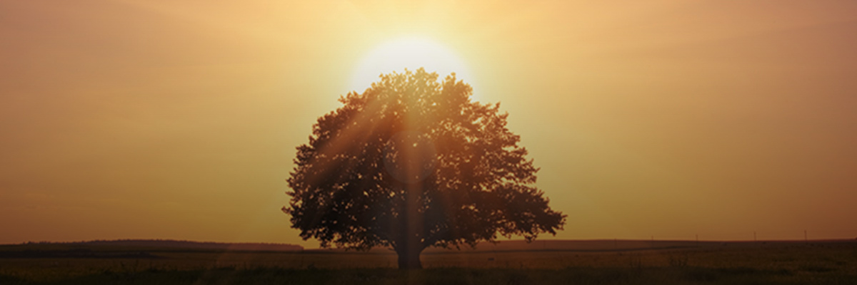 Reuters Events: Transform USA 2021 hero image