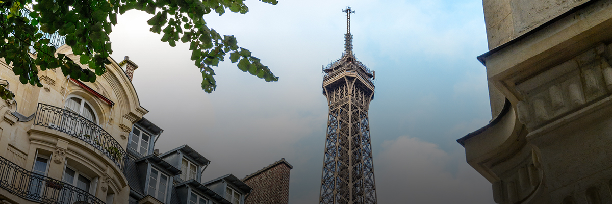 BSR Connect | Enhancing Your Materiality Assessment hero image