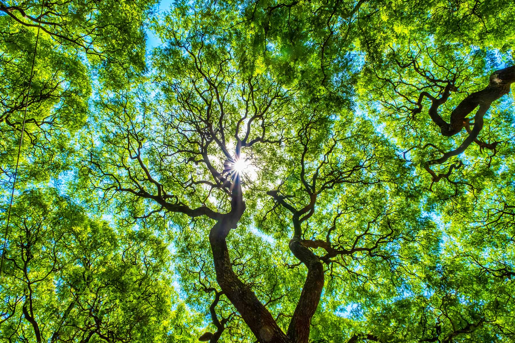 Climate Fit: A One-Stop-Shop for SME Climate Action hero image