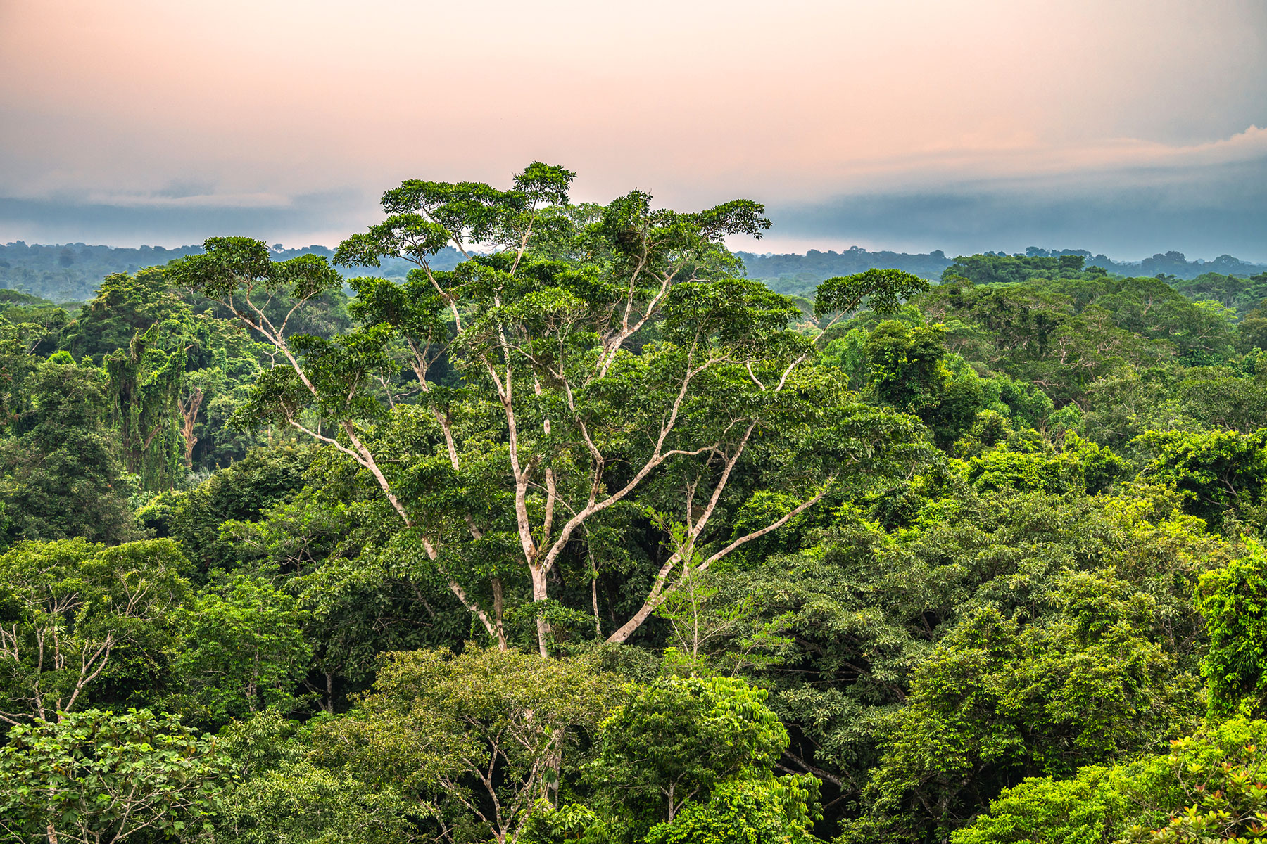 Strengthening Accountability for Environmental Harm: Pathways for Transformative Business Practices hero image