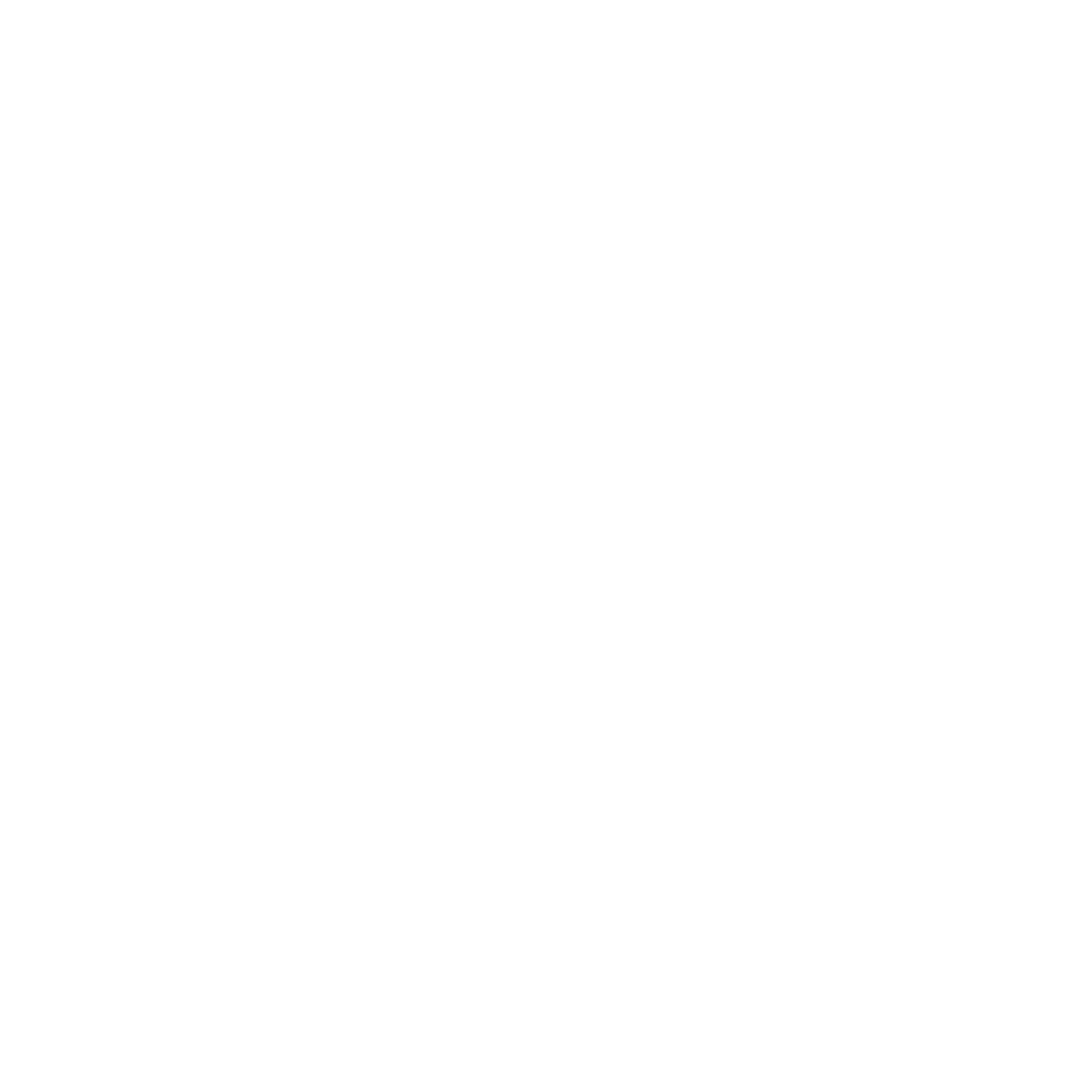 Privacy and Data Security icon