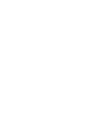 Data protection icon