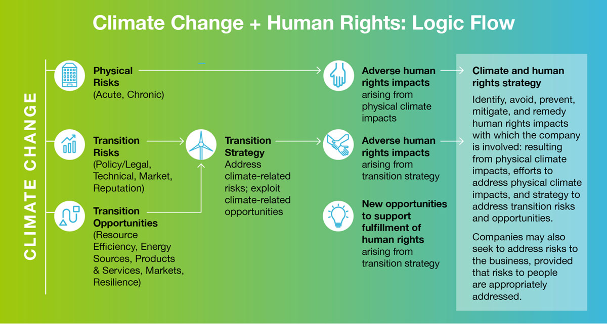 Climate change and human rights logic flow