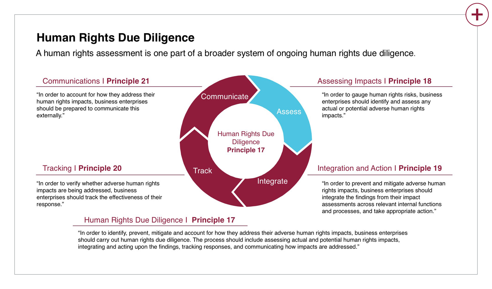 Due diligence workflow circle