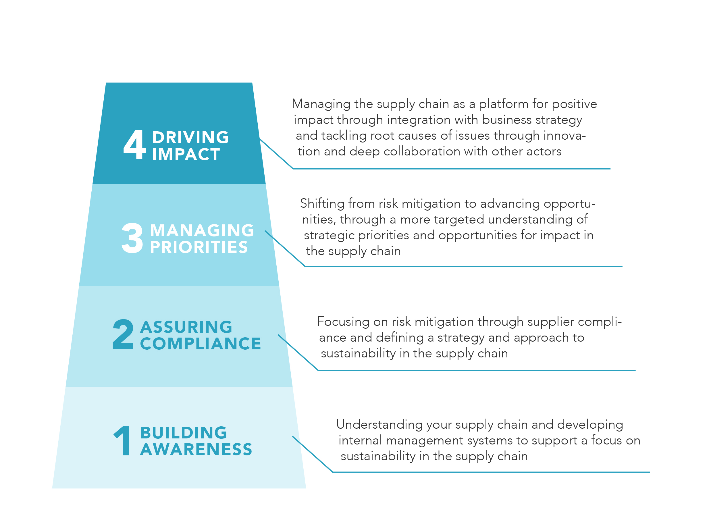 Supply Chain Leadership Ladder