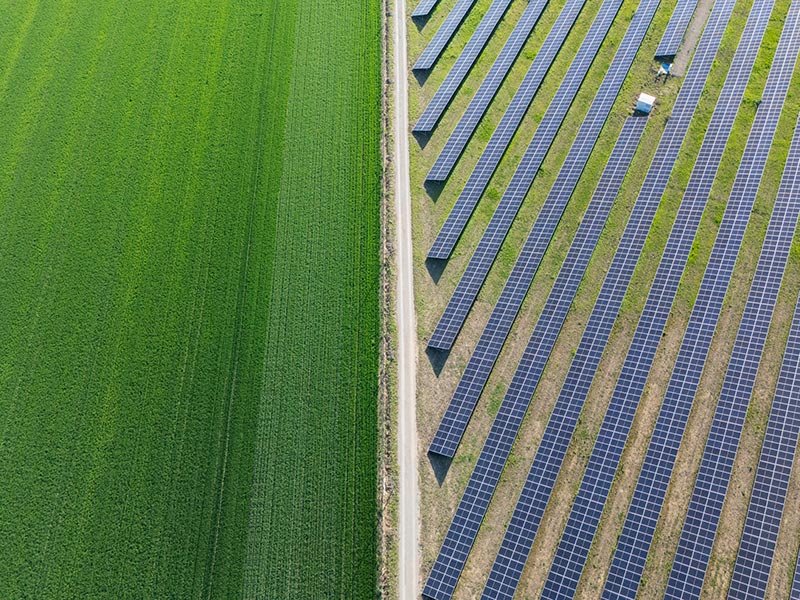 Green fields and solar panel array