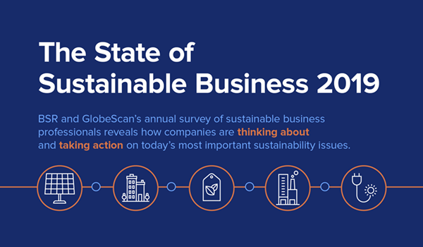 The State of Sustainable Business 2019 image