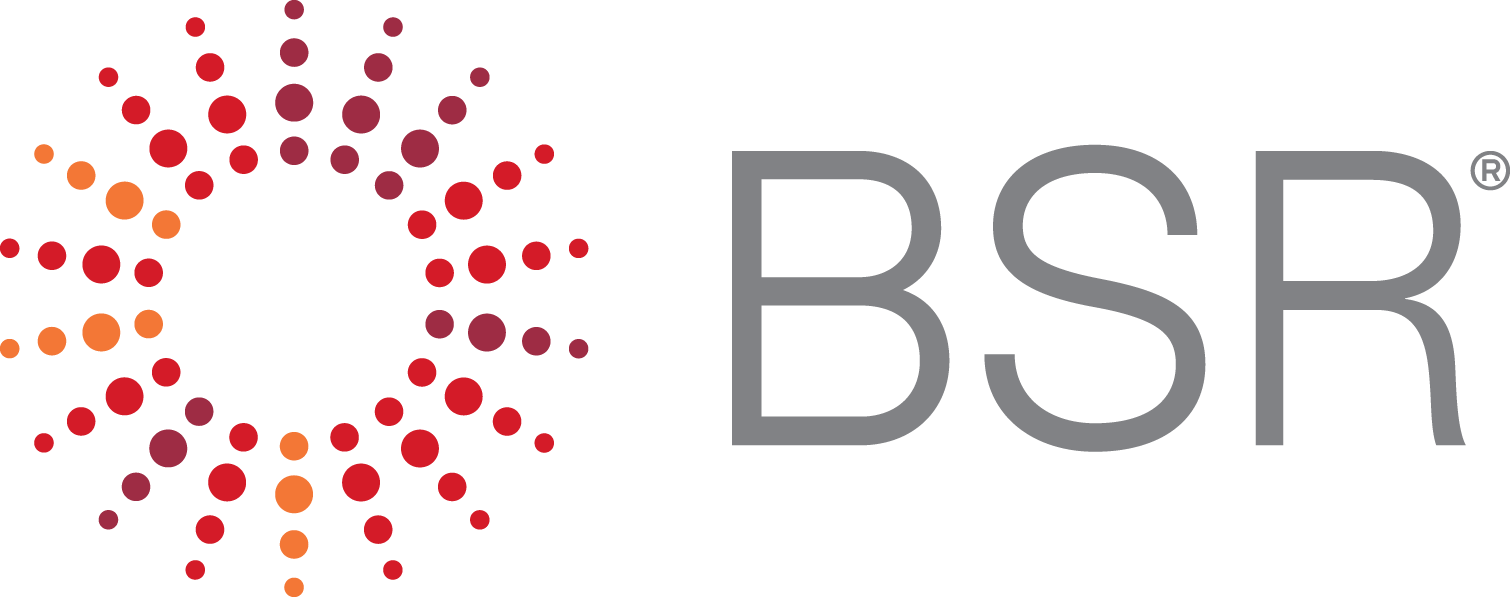 Sustainable Business Network and Consultancy | BSR
