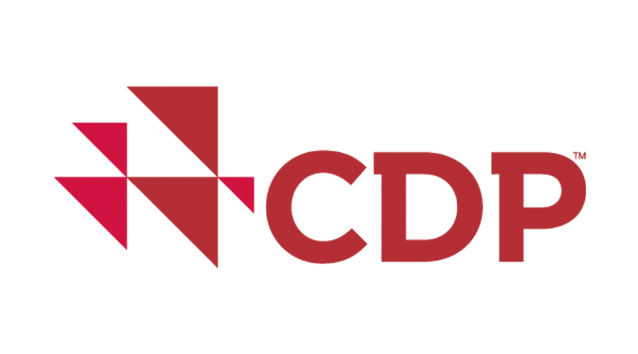 CDP Worldwide logo