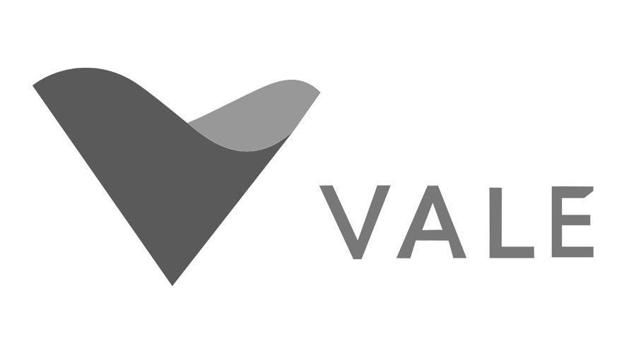Vale S.A. logo