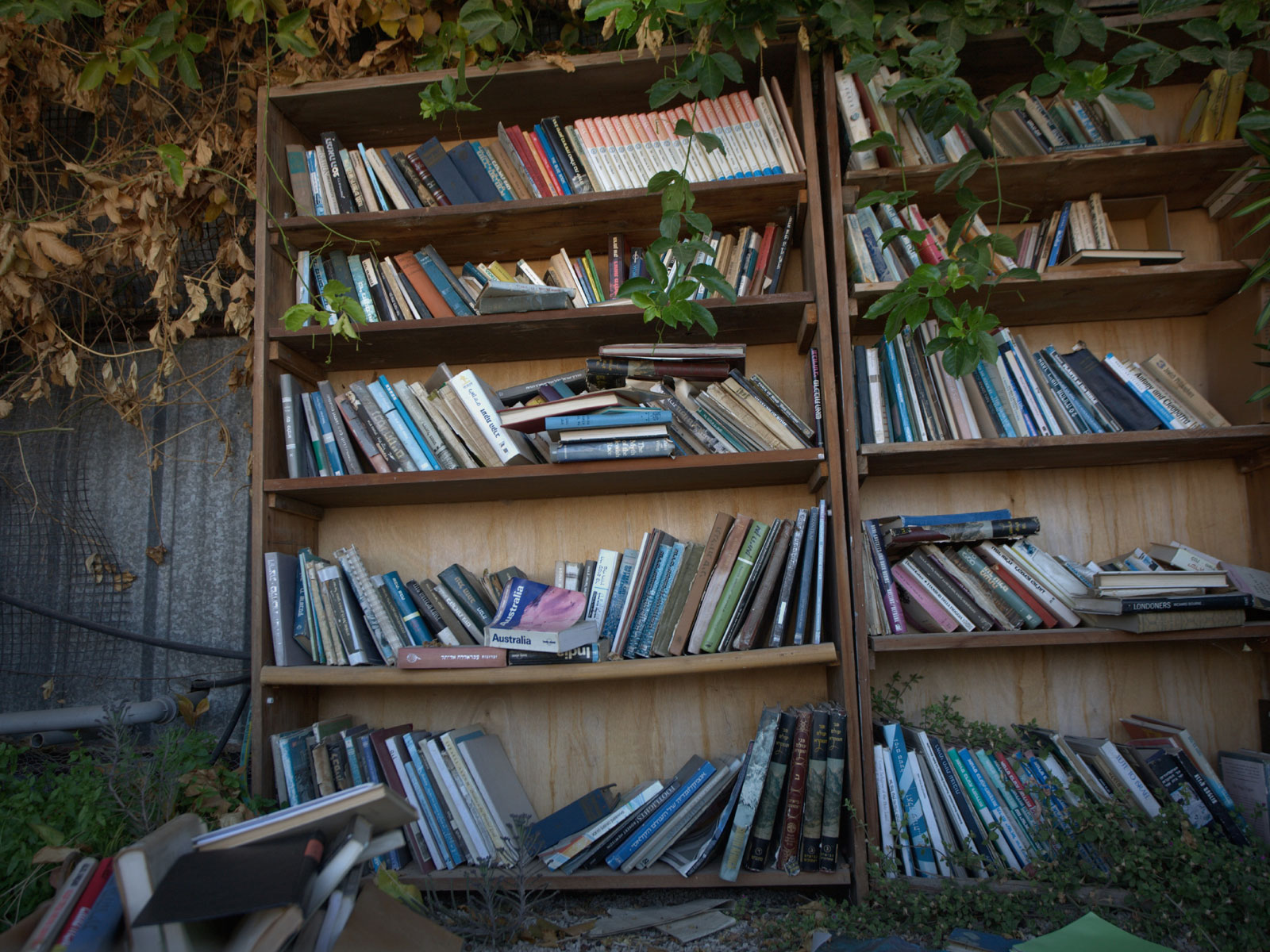 Strengthening ESG Reporting and Performance in the COVID-19 Era thumbnail image