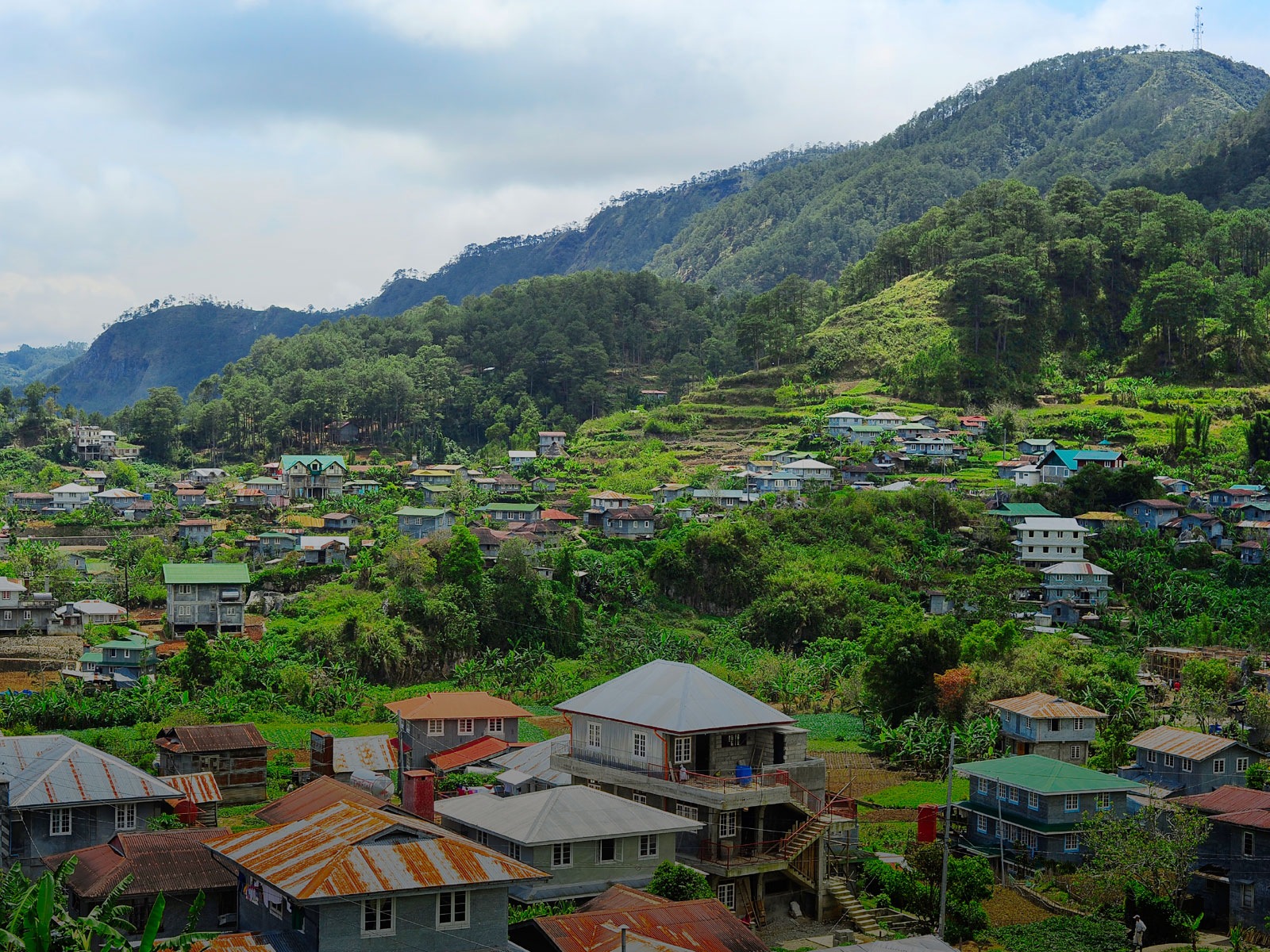 Three Ways to Meet Stakeholder Expectations for Local Content ...