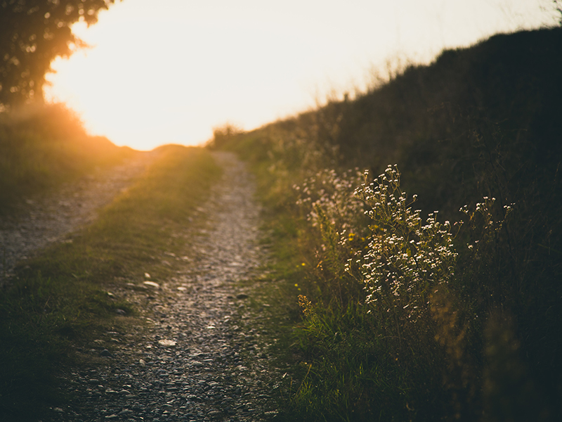 Reducing Value Chain Emissions to Achieve Science-Based Targets (Asia-Pacific) thumbnail image