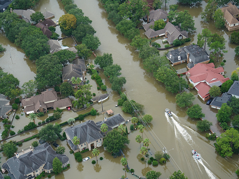 How Business Can Help Build Climate Resilience Today thumnail image