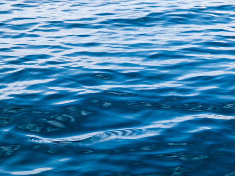 Managing Supply Chain Water Risk: New Capacities for New Challenges | Blog  | BSR