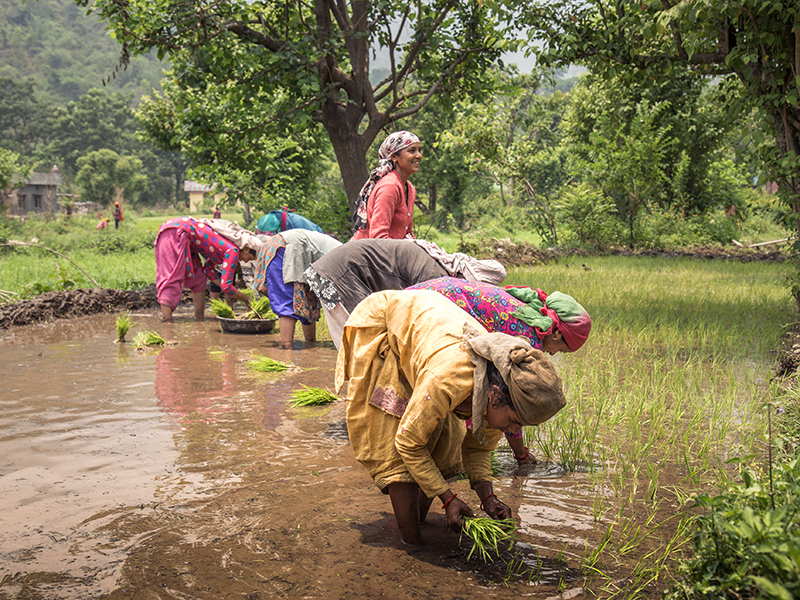 Climate Solutions Need Women at the Center thumbnail image