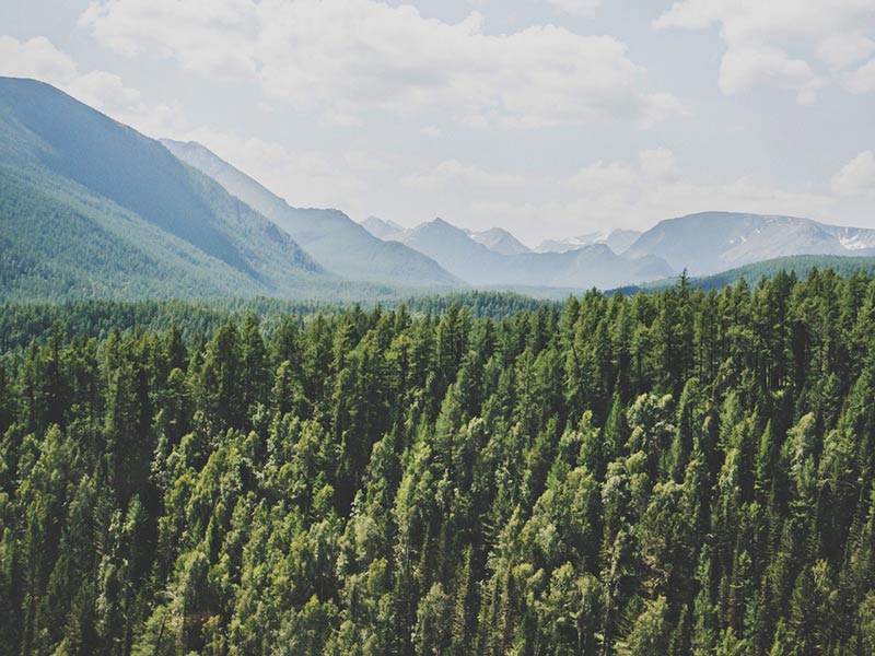 Climate Action in the 2020s: Three Steps to Reducing Value Chain Emissions thumnail image