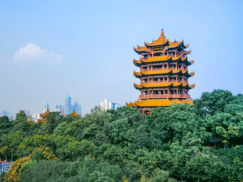 The Impact of Coronavirus on Workers, Business Operations, and Supply Chains in China thumnail image