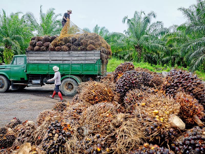 Climate Action in the Value Chain: Reducing Scope 3 Emissions and Achieving Science-Based Targets thumnail image