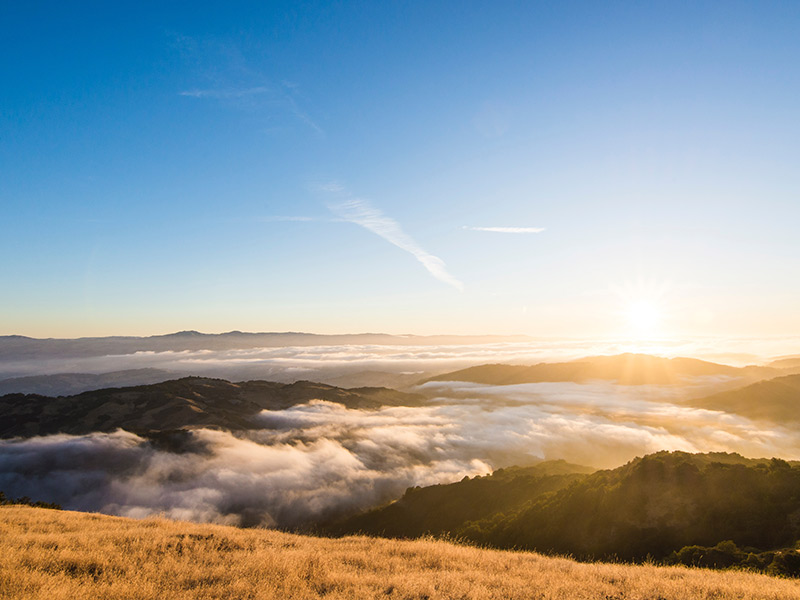 BSR Conference 2020: Coming Together to Meet the Moment and Build the Future thumnail image