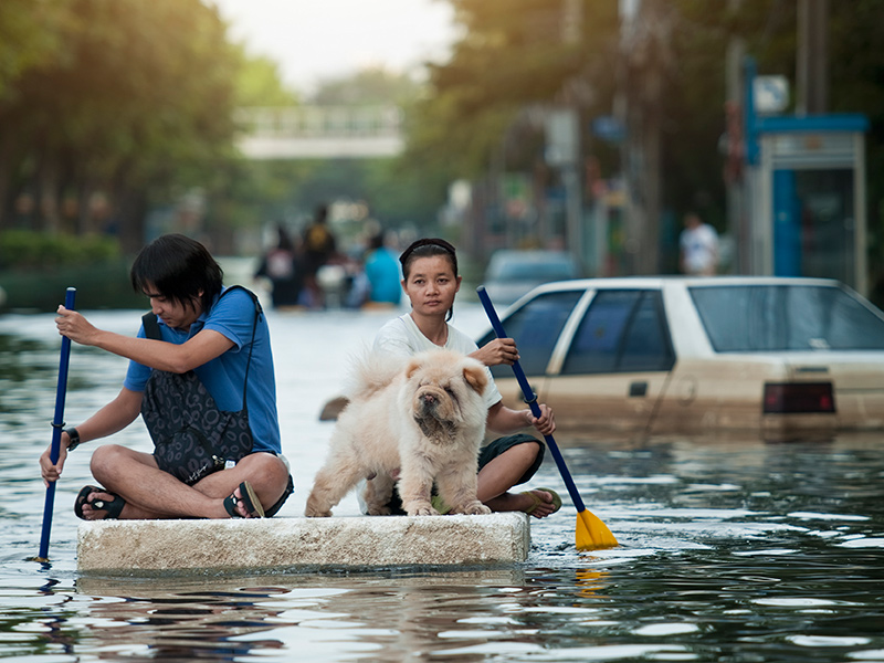 Climate Change: Building Resilience While Protecting Human Rights thumnail image