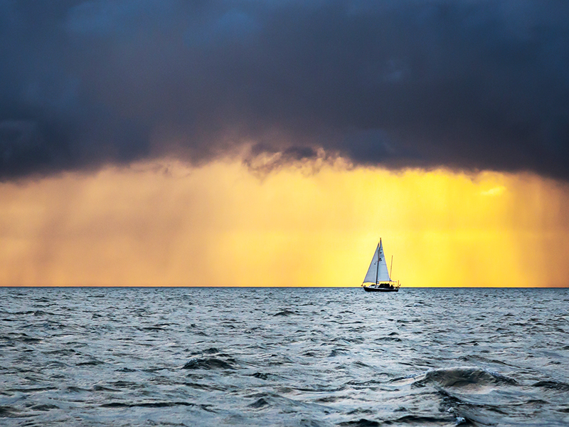 Into the Sustainability Maelstrom: Navigating Uncertainty in 2023 thumbnail image