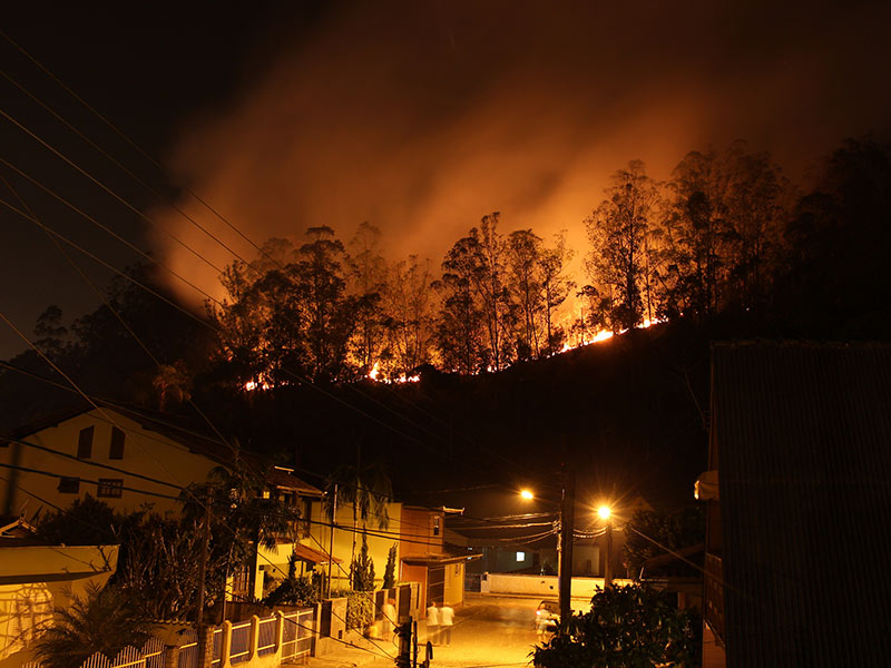 烟雾随处可见：野火的健康和气候风险 thumnail image