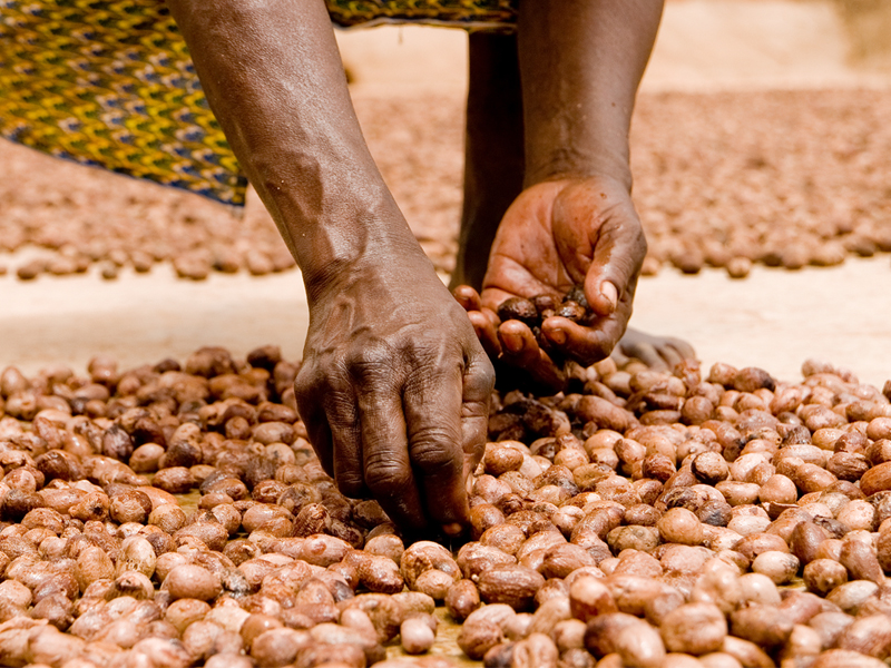 Investing in Women Workers: How Training has Helped Build Financial Resilience in Shea Supply Chains thumbnail image