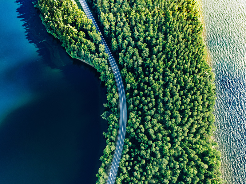 From Strategy to Action: Integrating Carbon Removal Solutions into Corporate Net-Zero Strategies thumbnail image