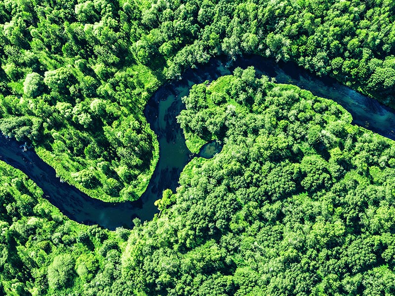 Communicating the Business Value of Sustainability | BSR and GlobeScan thumbnail image