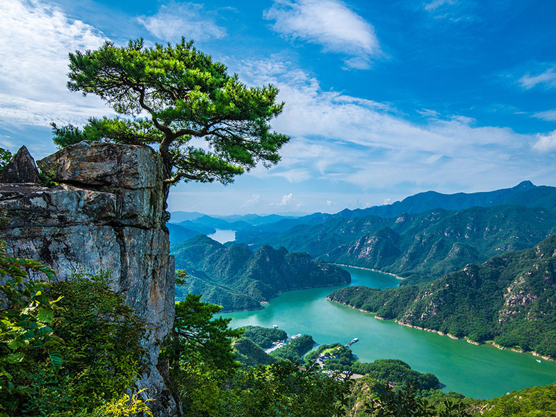 ESRS Revisions Mark a Turning Point Toward Principle-Based Reporting, With Open Questions thumbnail image