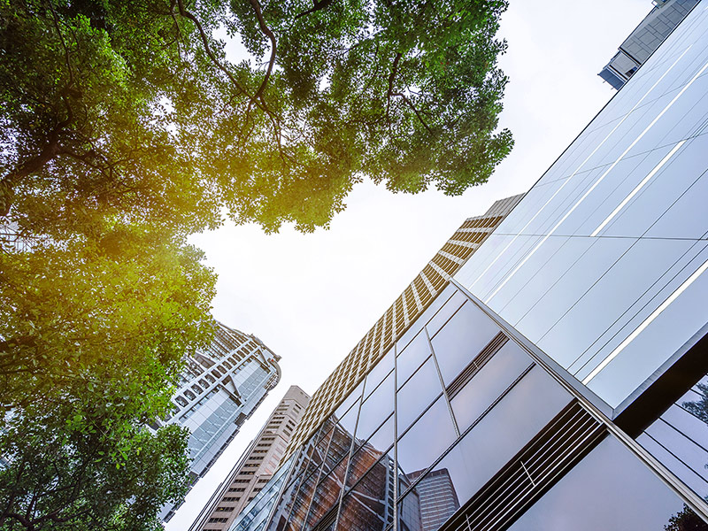 Business Value of Sustainability: Trajectory and Strategies thumbnail image