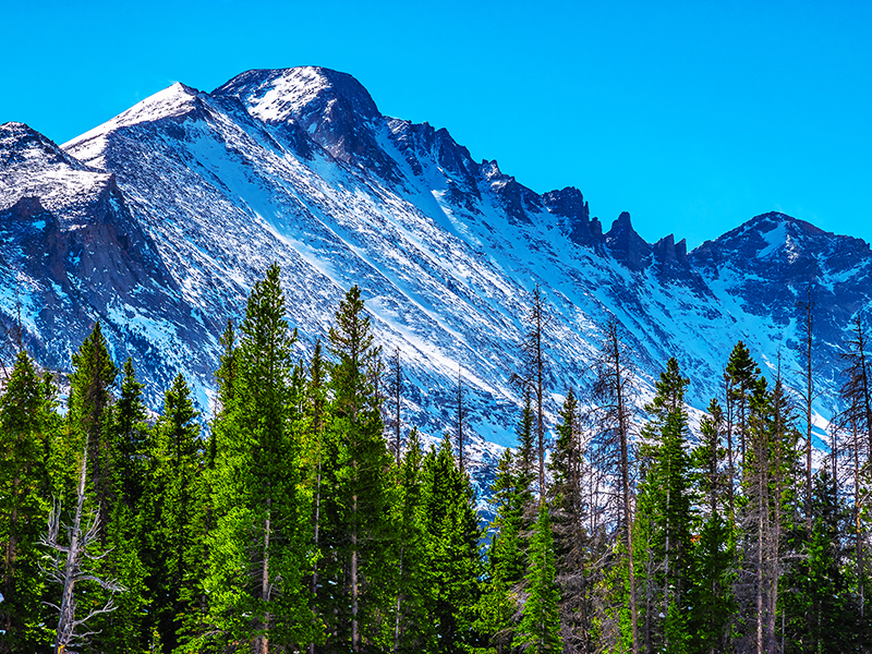 Implications of the U.S. EPA Endangerment Finding Revocation thumbnail image