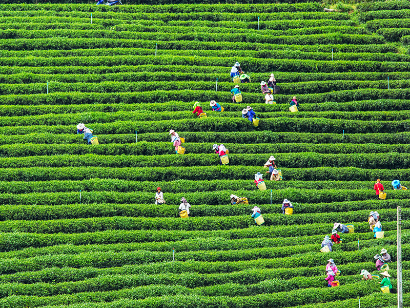 EU CSDDD Finalized: Key Due Diligence Expectations Remain Intact thumbnail image