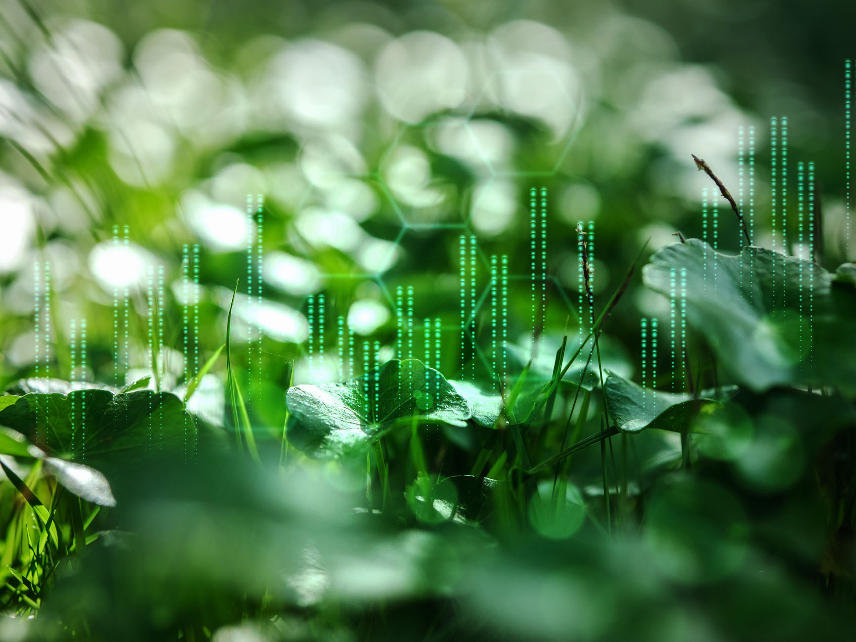 Double Materiality Assessments—From Compliance to Strategic Integration thumbnail image