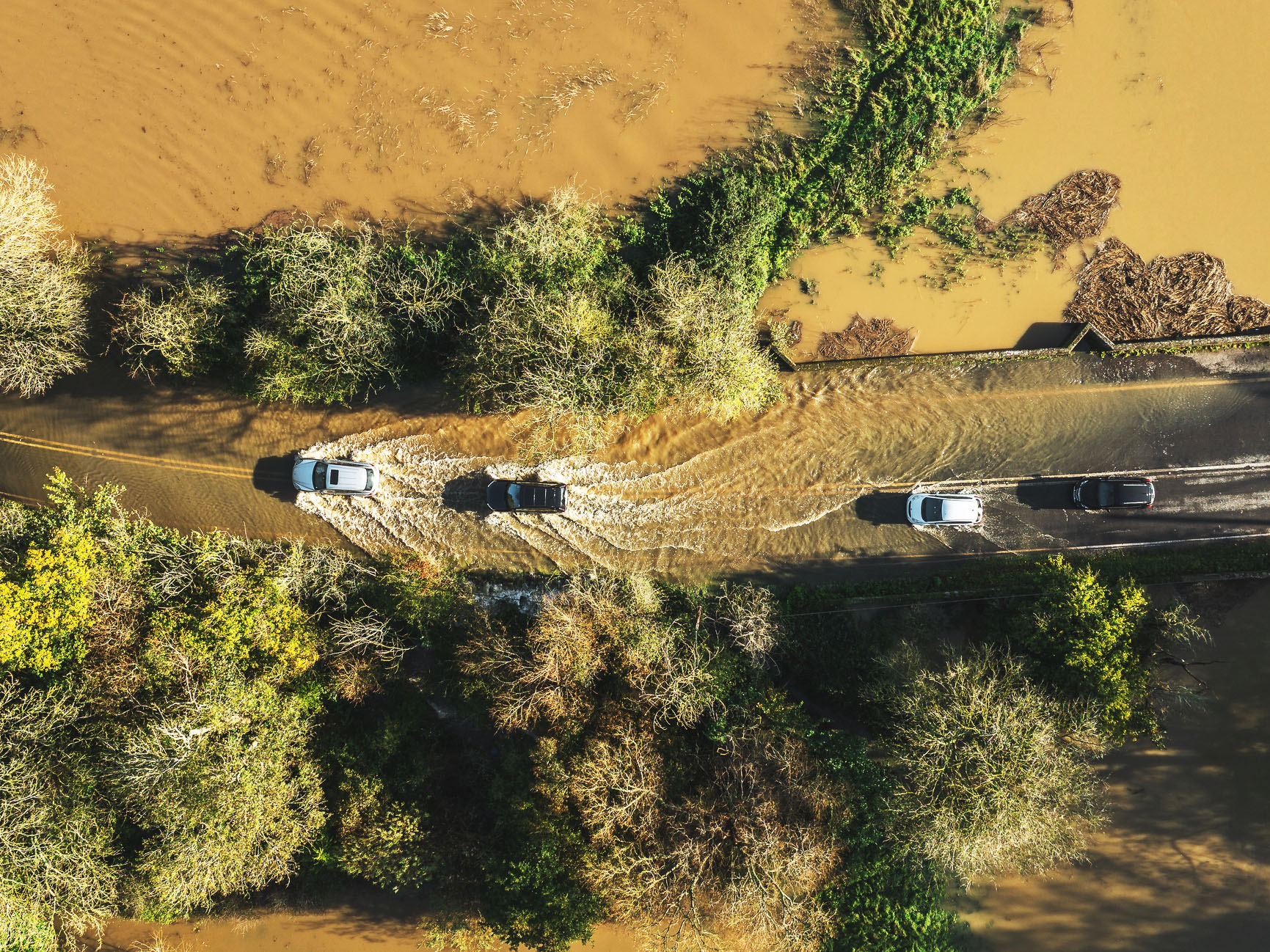 From Climate Risk to Adaptation: Why El Niño is a Business Stress Test thumnail image