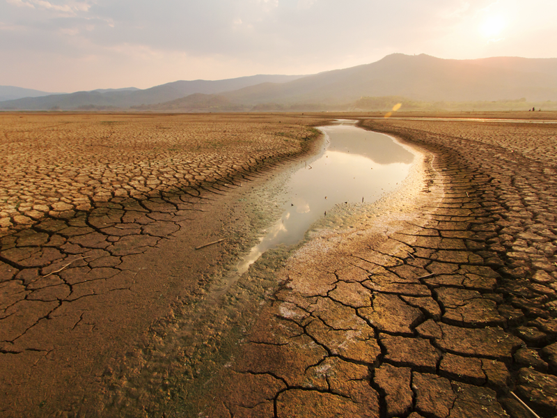 How Businesses Can Address the Water Scarcity Crisis thumbnail image