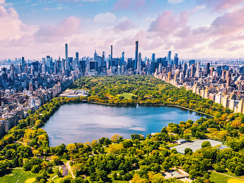 BSR at 30: The Future of Sustainable Business Is… thumbnail image