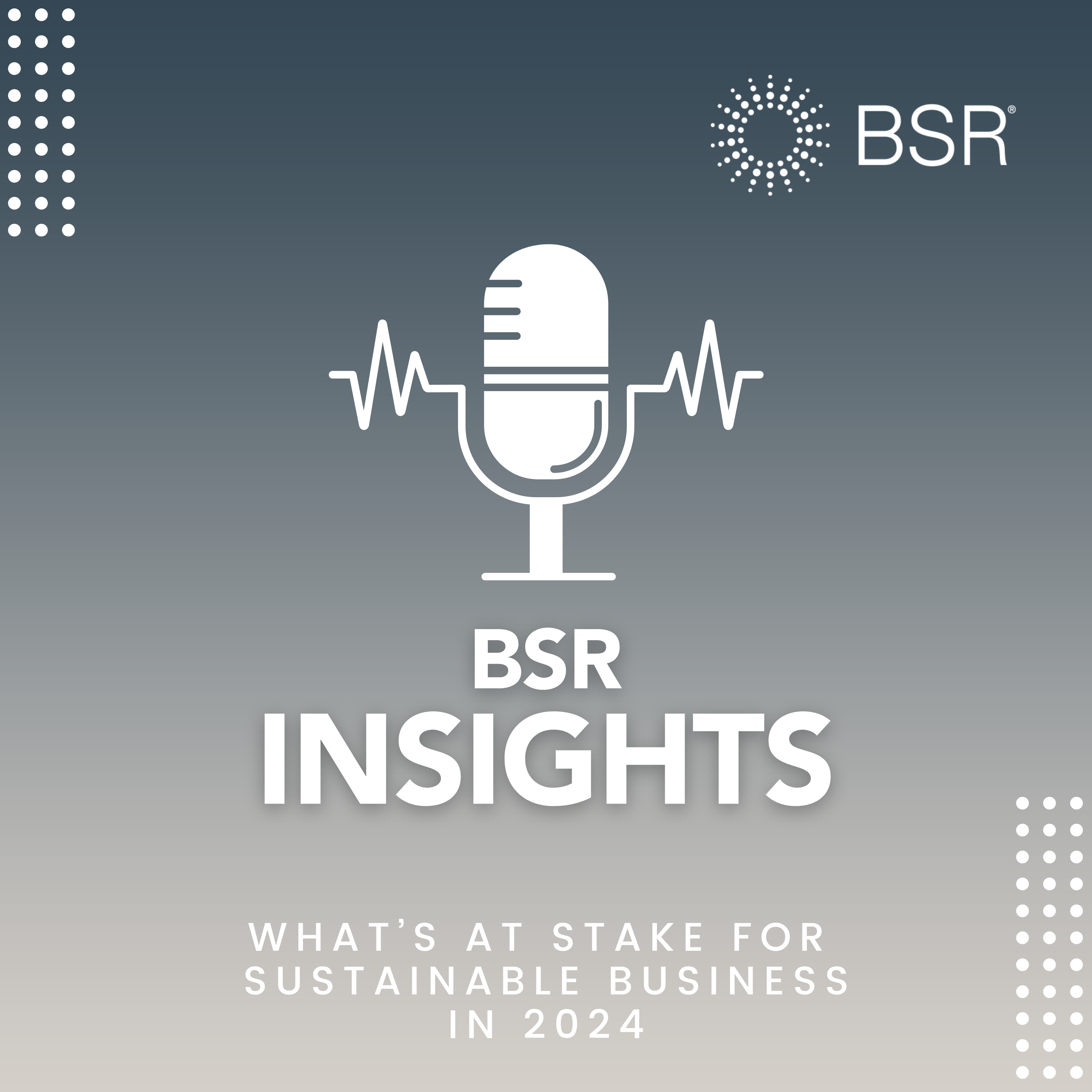 What’s at Stake for Sustainable Business thumbnail