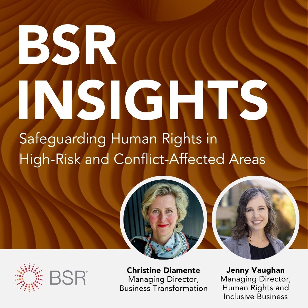 Safeguarding Human Rights in High-Risk and Conflict-Affected Areas thumnail image