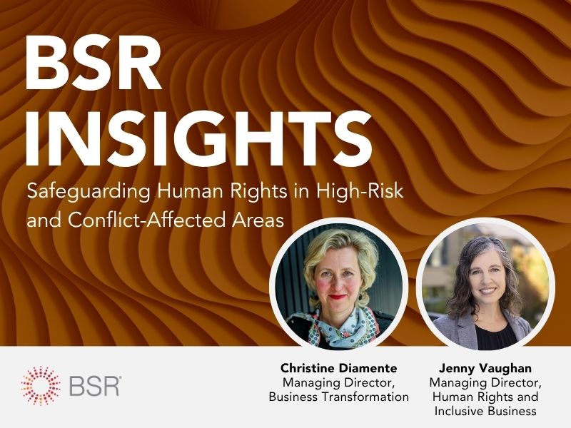 Safeguarding Human Rights in High-Risk and Conflict-Affected Areas thumbnail image