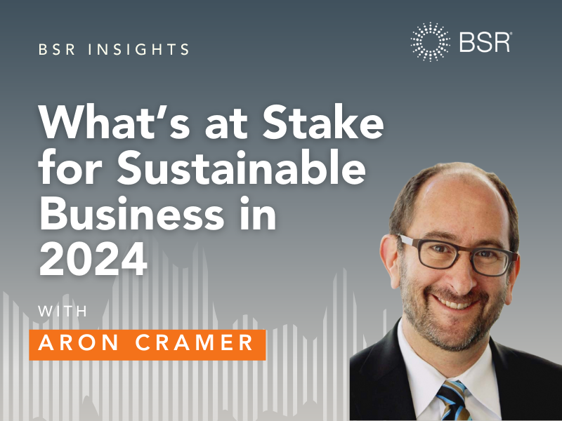 What’s at Stake for Sustainable Business in 2024 thumbnail image