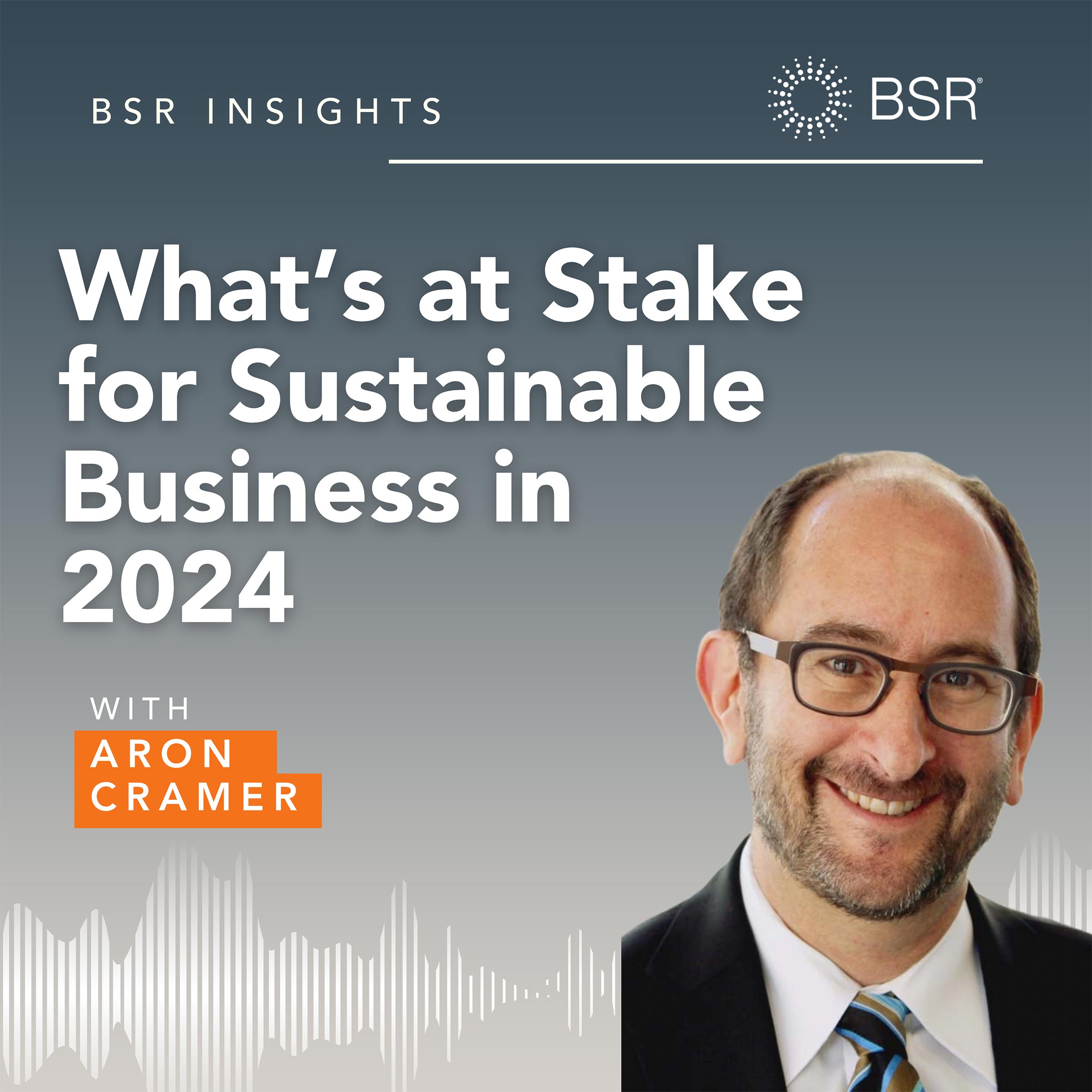 BSR Insights: What’s at Stake for Sustainable Business 2024 thumnail image